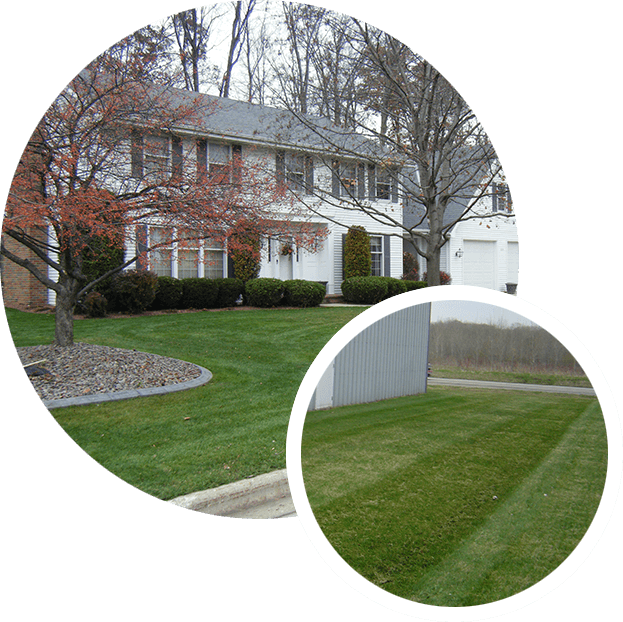GCI Clean and Maintained Lawn